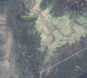 Dingo Hill Track campsite