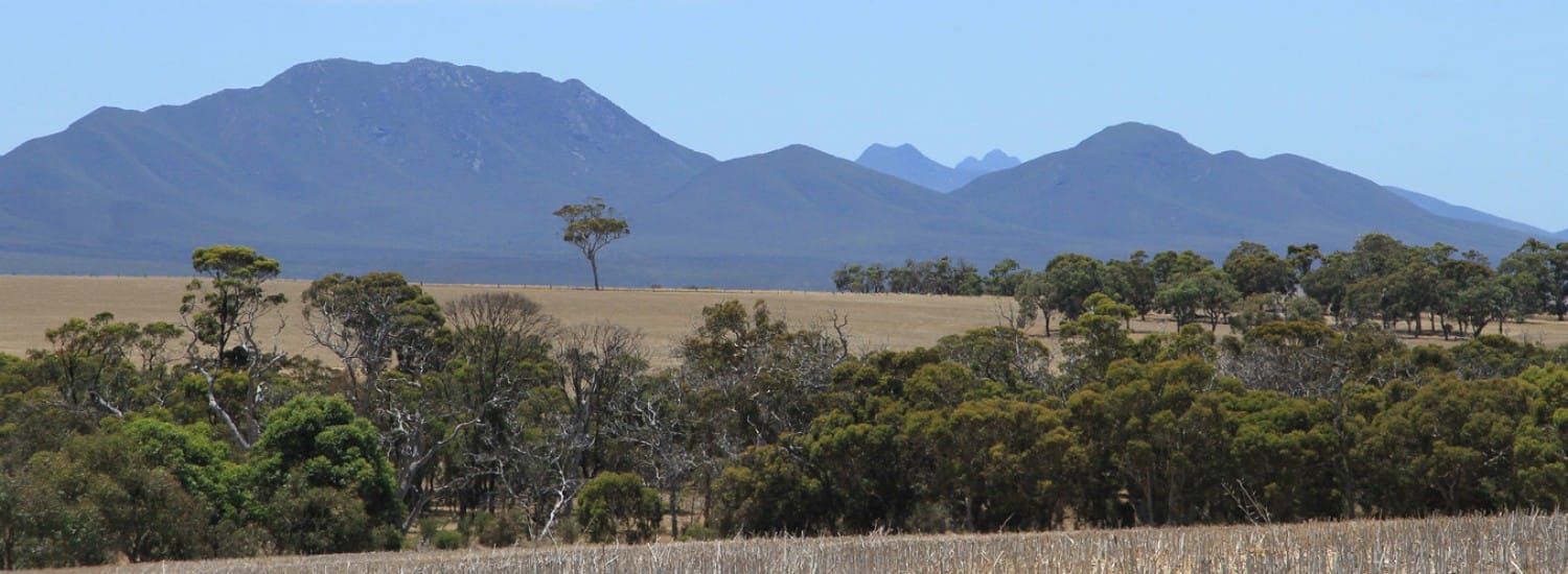 Stirling Ranges, WA