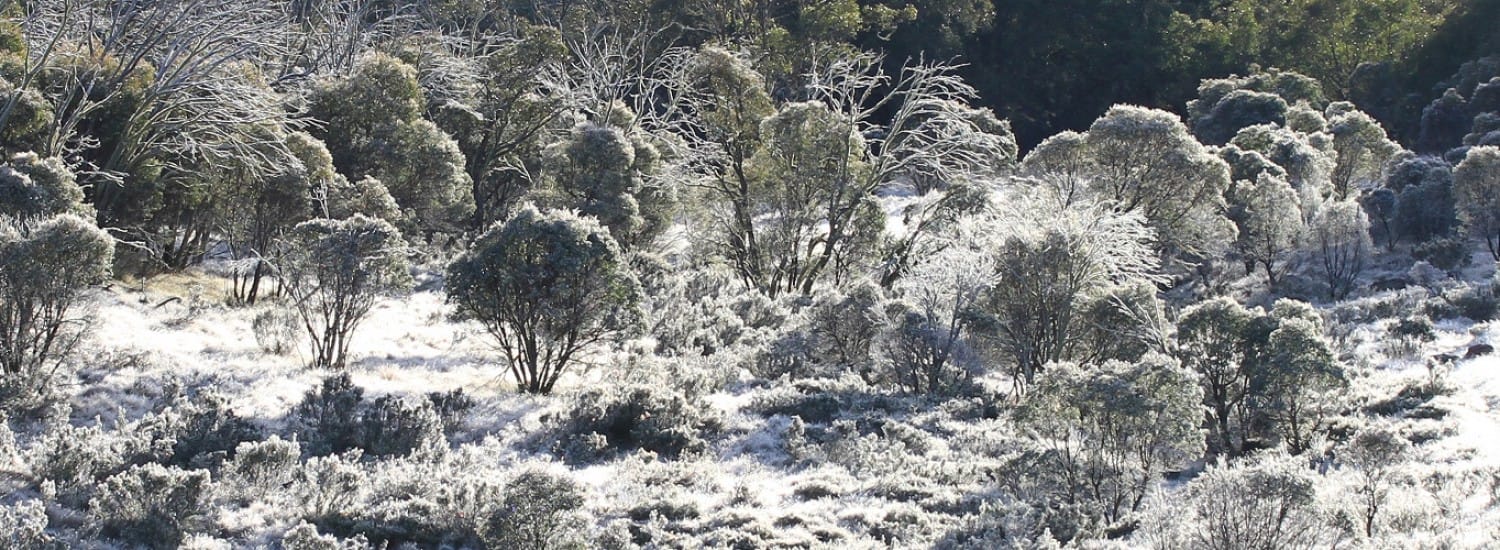Victorian High Country
