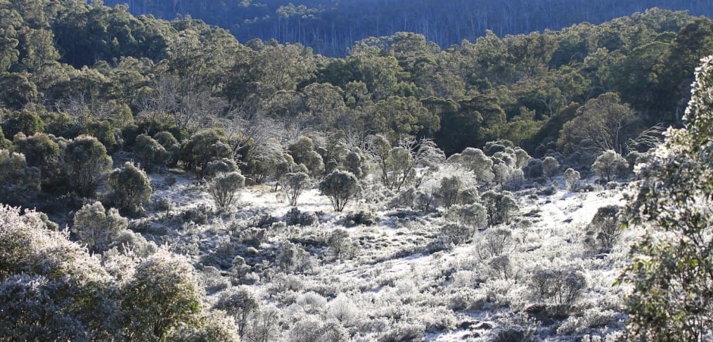 View from our campsite near Dingo Hill Track, Victorian High Country