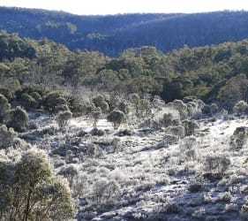 View from our campsite near Dingo Hill Track, Victorian High Country