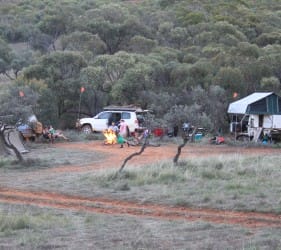 Jack, Angus, Mark, Leonie and Whippet