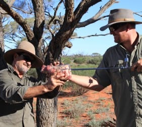 Whippet and Mark preparing the spit