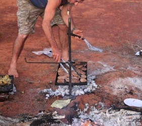Whippet making breakfast