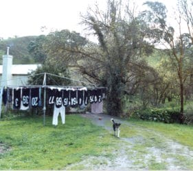 1991 After Gumeracha Preliminary Final & Clancy